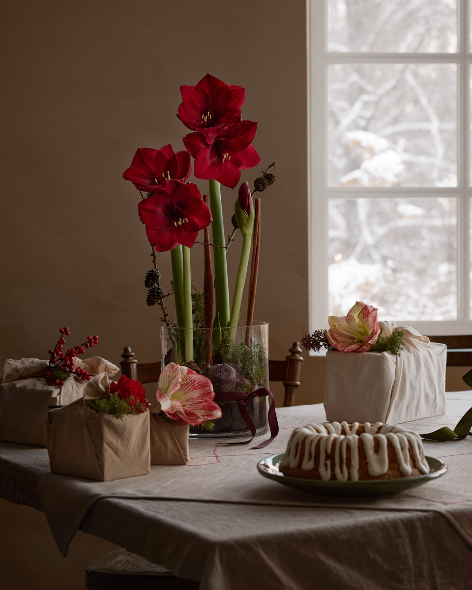 Inspiration-skötselråd-julblommor-4.5.jpg