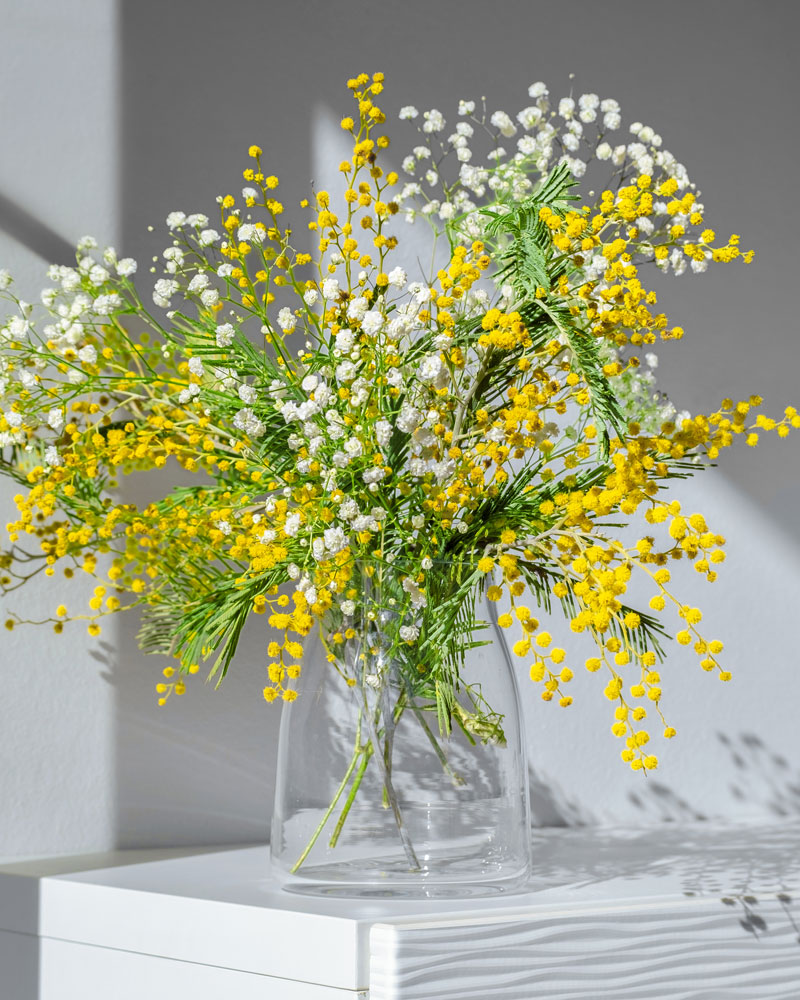Vårblommor-Mimosa-2.jpg